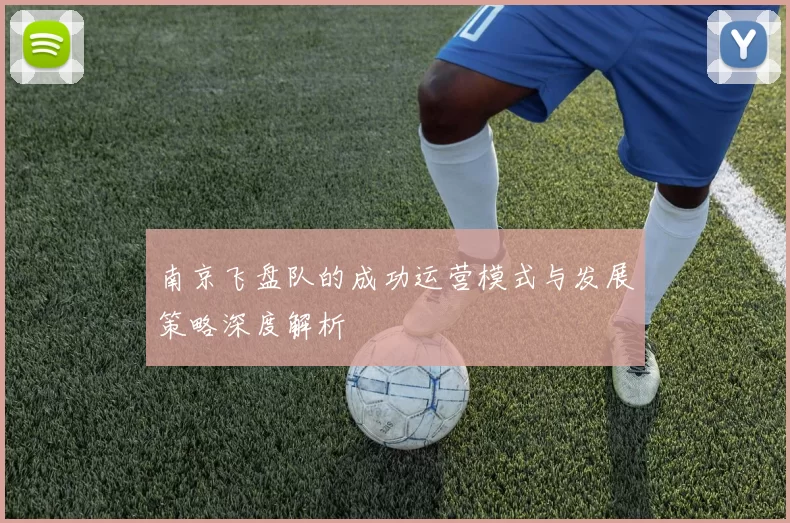 南京飞盘队的成功运营模式与发展策略深度解析