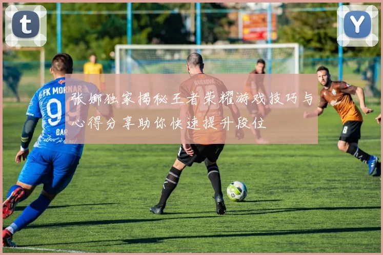 张娜独家揭秘王者荣耀游戏技巧与心得分享助你快速提升段位