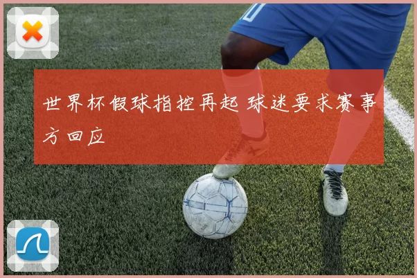 世界杯假球指控再起 球迷要求赛事方回应