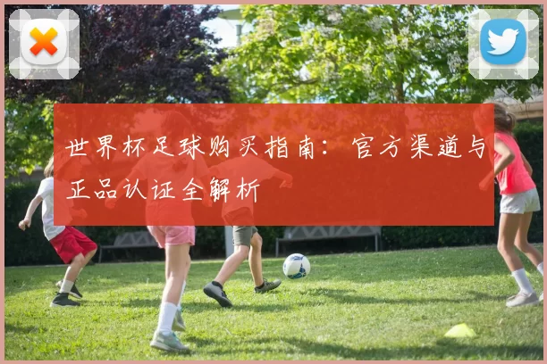 世界杯足球购买指南:官方渠道与正品认证全解析