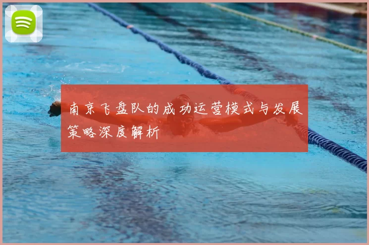 南京飞盘队的成功运营模式与发展策略深度解析