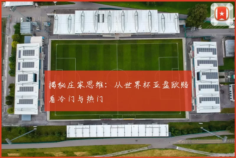 揭秘庄家思维：从世界杯亚盘欧赔看冷门与热门