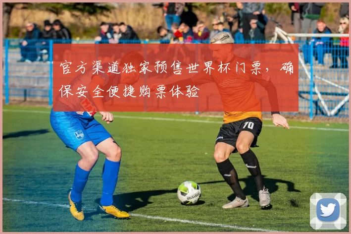 官方渠道独家预售世界杯门票，确保安全便捷购票体验