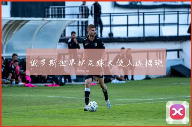 俄罗斯世界杯足球大使人选揭晓