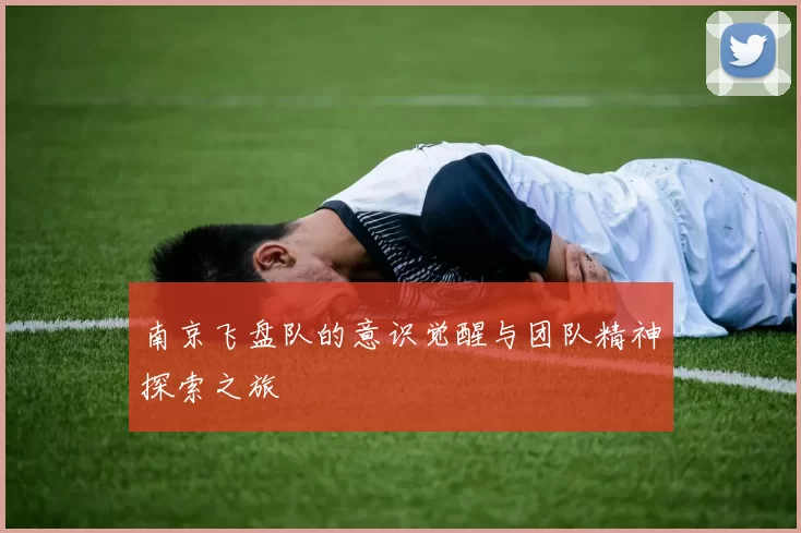 南京飞盘队的意识觉醒与团队精神探索之旅