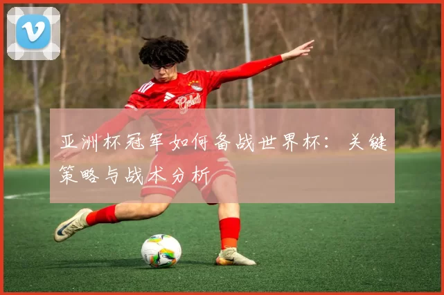 亚洲杯冠军如何备战世界杯:关键策略与战术分析