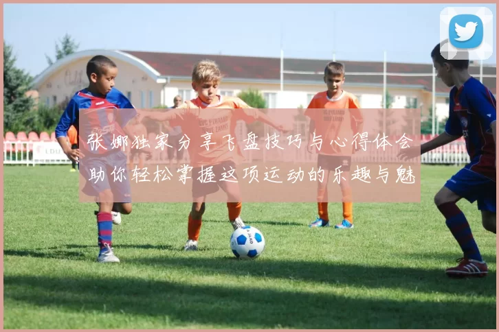张娜独家分享飞盘技巧与心得体会助你轻松掌握这项运动的乐趣与魅力