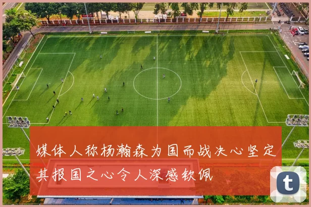 媒体人称杨瀚森为国而战决心坚定其报国之心令人深感钦佩