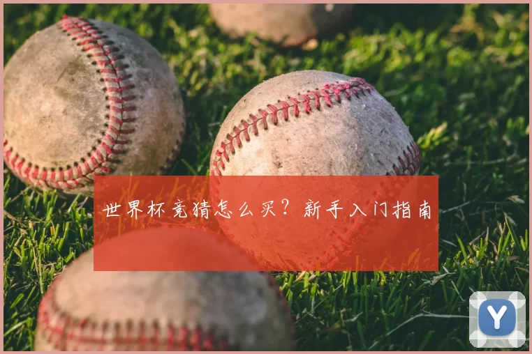 世界杯竞猜怎么买？新手入门指南